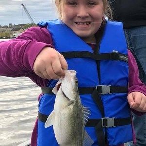 Meet your Posher, Addison